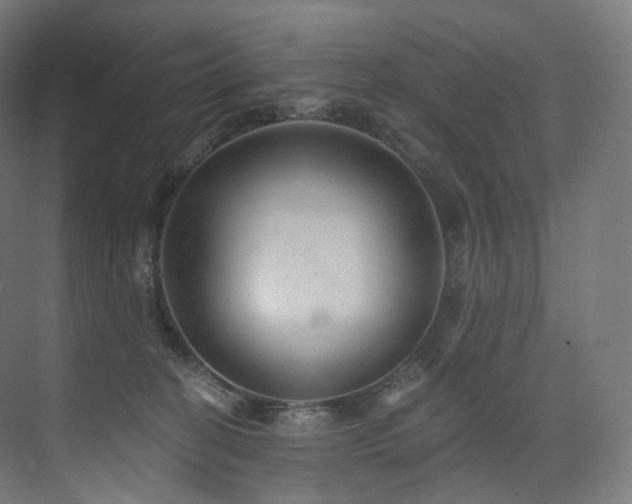 X0000074040274200608211526