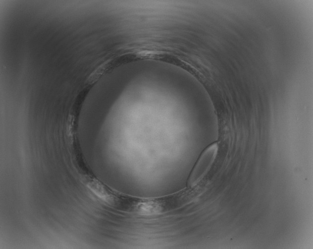 X0000074040275200608211526