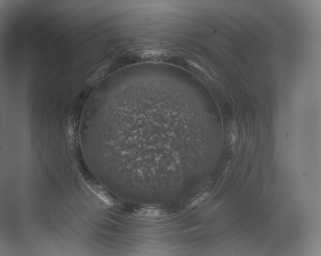 X0000074040276200608211526