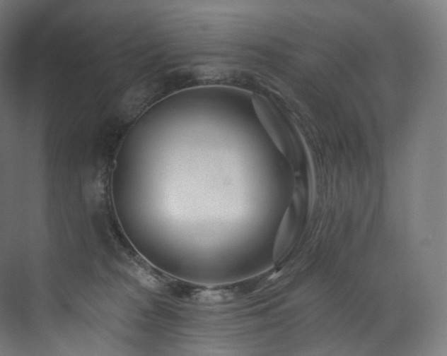 X0000074040277200608211526