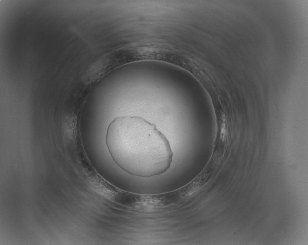 X0000074040278200608211526