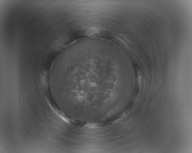 X0000074040280200608211526