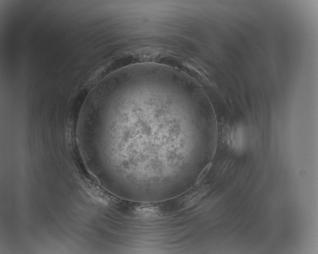 X0000074040283200608211526