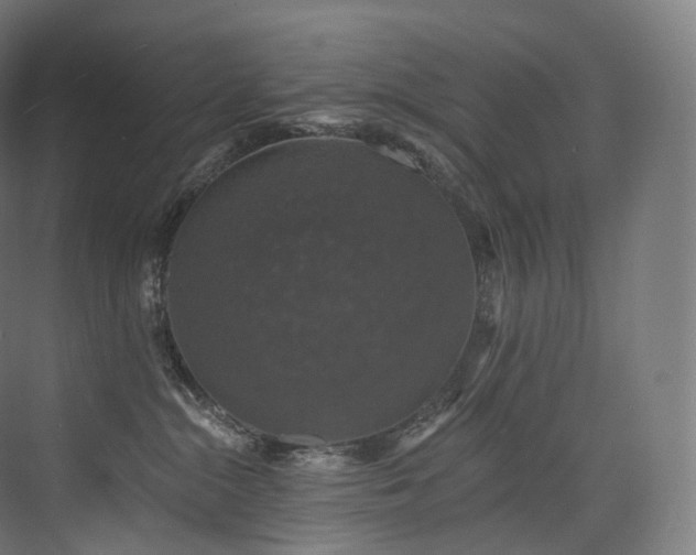 X0000074040284200608211526