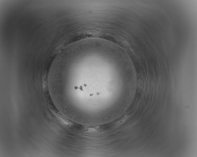 X0000074040285200608211526