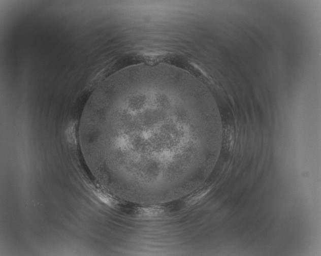 X0000074040286200608211526