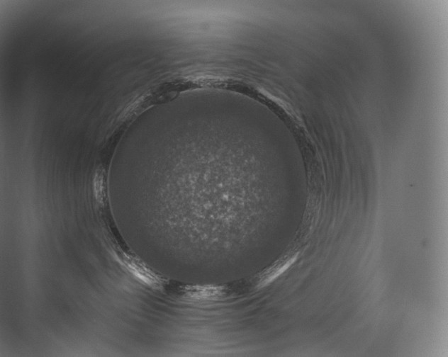 X0000074040288200608211526