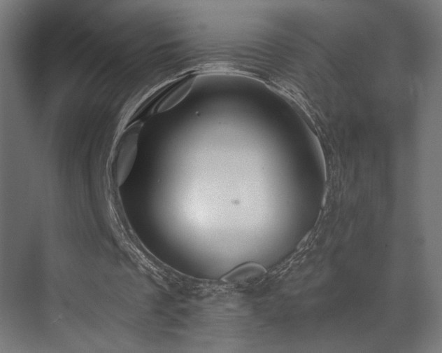 X0000074040289200608211526