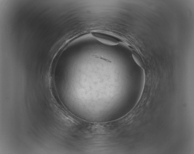 X0000074040290200608211526