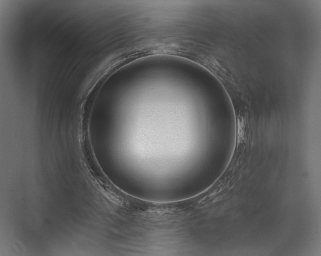 X0000074040291200608211526