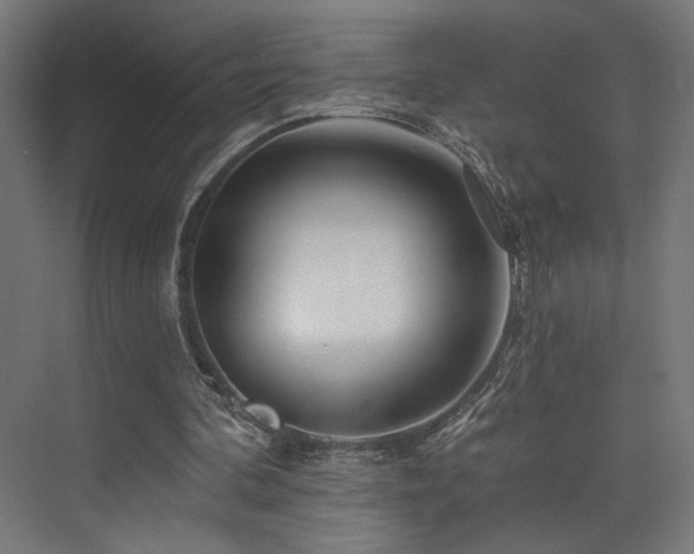 X0000074040292200608211526