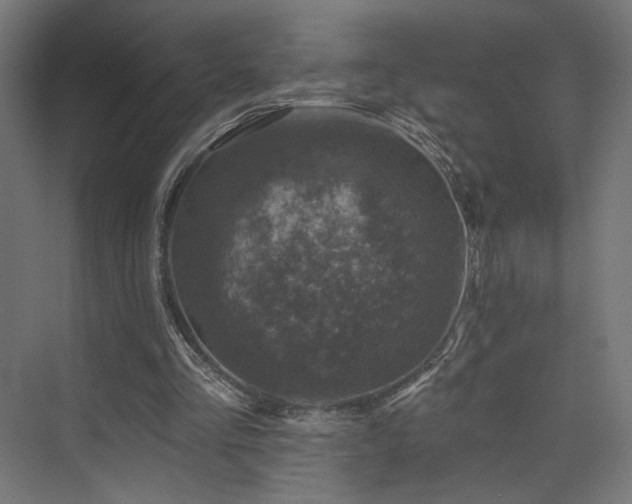 X0000074040293200608211526