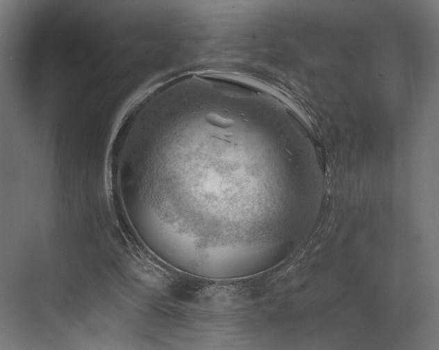 X0000074040294200608211526