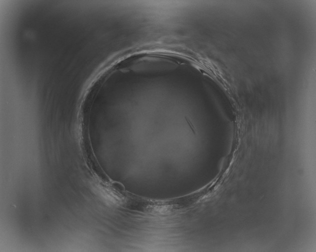 X0000074040295200608211526