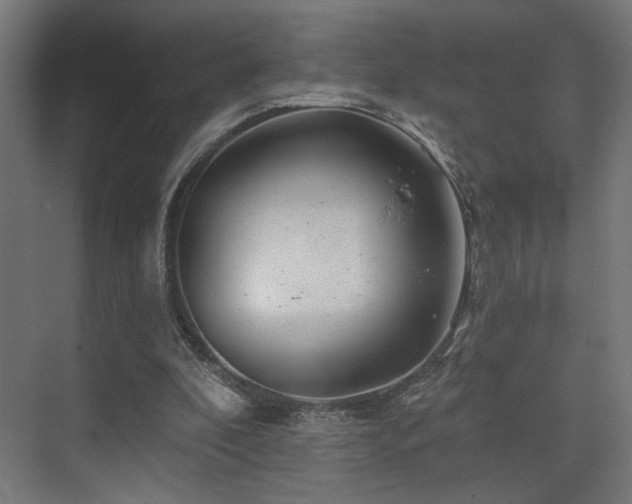 X0000074040296200608211526