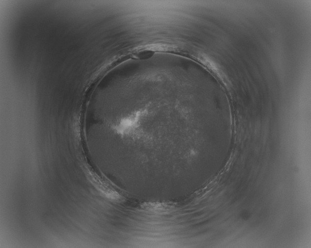 X0000074040297200608211525