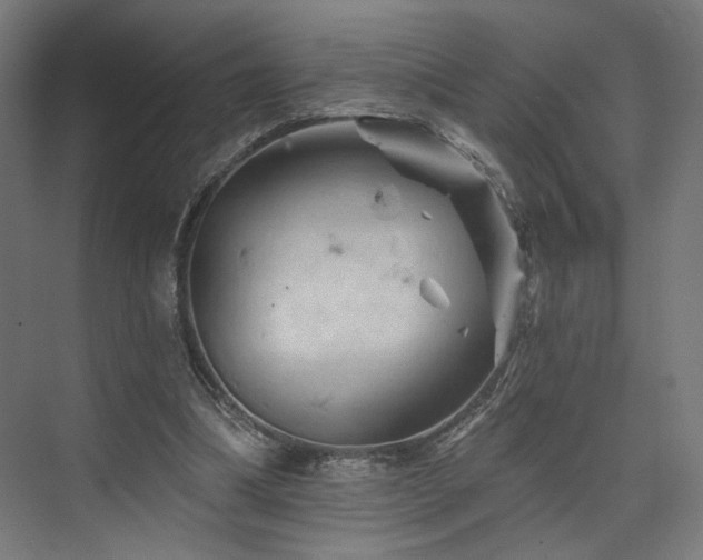 X0000074040298200608211525