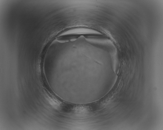 X0000074040299200608211525