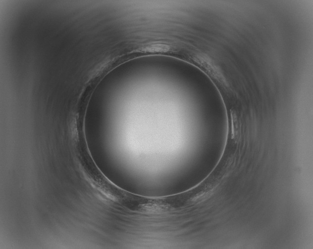 X0000074040300200608211525