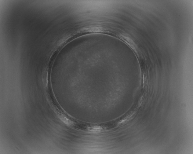 X0000074040301200608211525