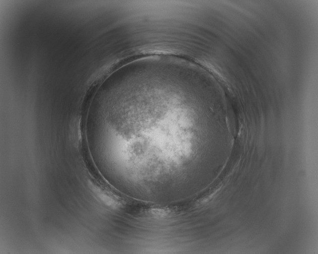 X0000074040302200608211525