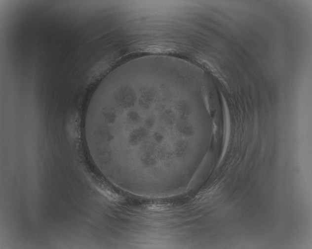 X0000074040303200608211525