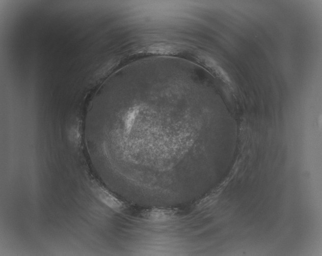 X0000074040305200608211525