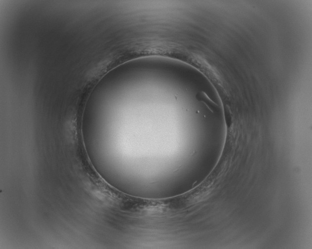 X0000074040306200608211525