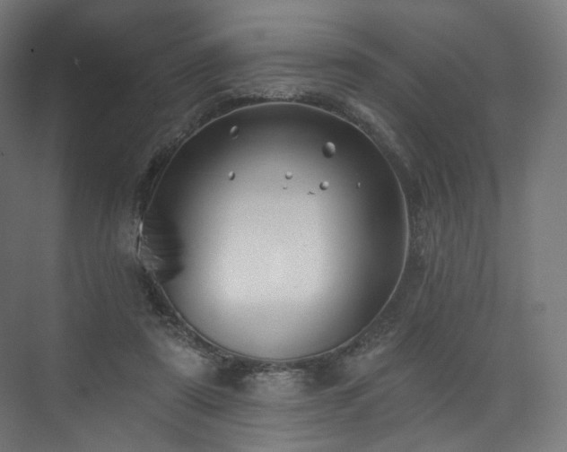 X0000074040307200608211525