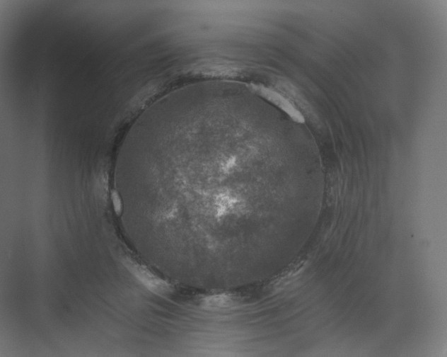 X0000074040309200608211525