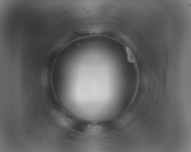 X0000074040311200608211525