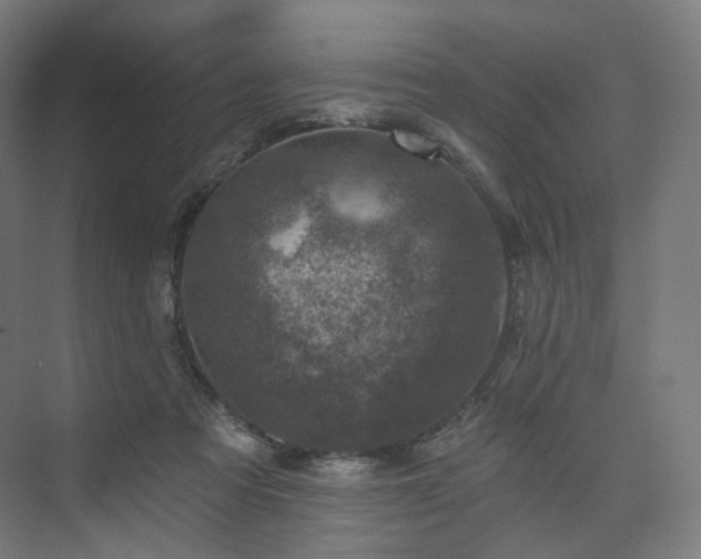 X0000074040313200608211525