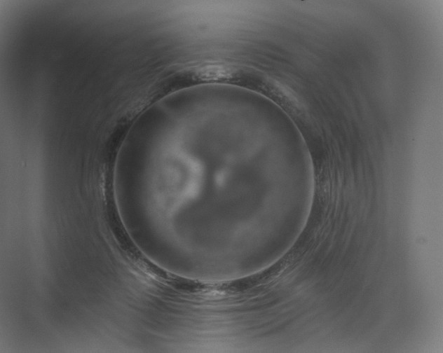 X0000074040315200608211525