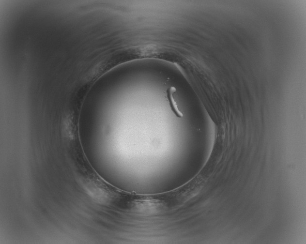 X0000074040316200608211525