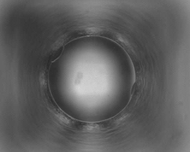 X0000074040317200608211525