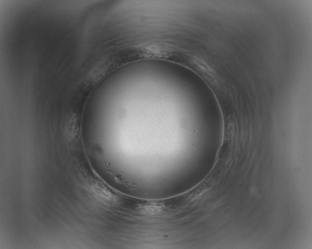 X0000074040318200608211525