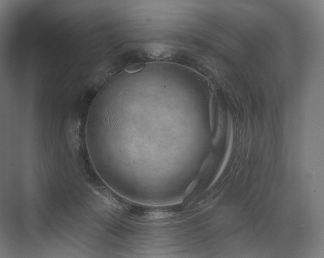 X0000074040319200608211525