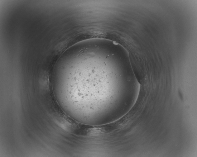 X0000074040320200608211525