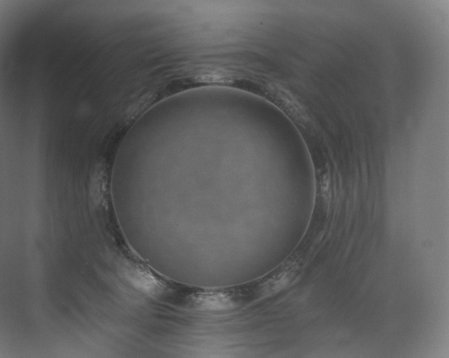 X0000074040322200608211525