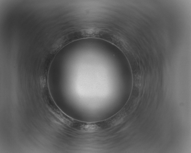 X0000074040324200608211525