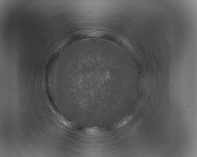 X0000074040325200608211525