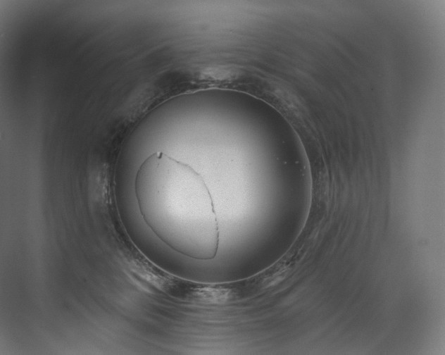 X0000074040328200608211525