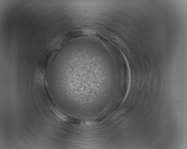 X0000074040329200608211525