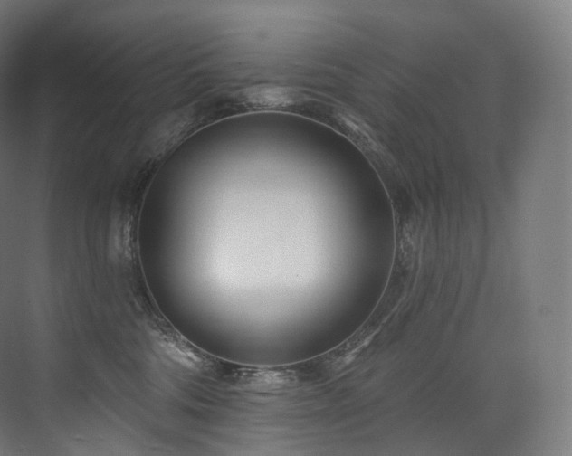 X0000074040330200608211525