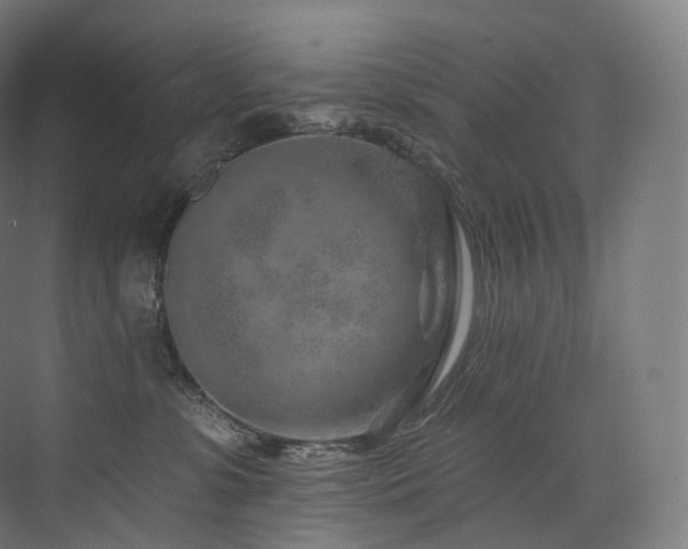 X0000074040331200608211525