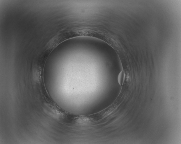 X0000074040332200608211525