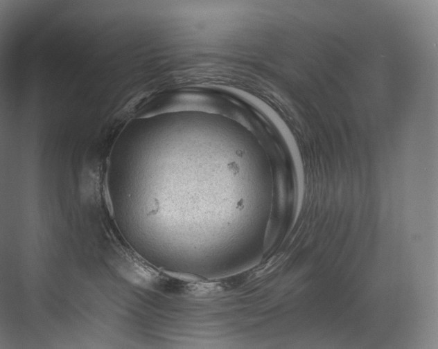 X0000074040333200608211525