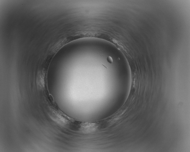 X0000074040334200608211525