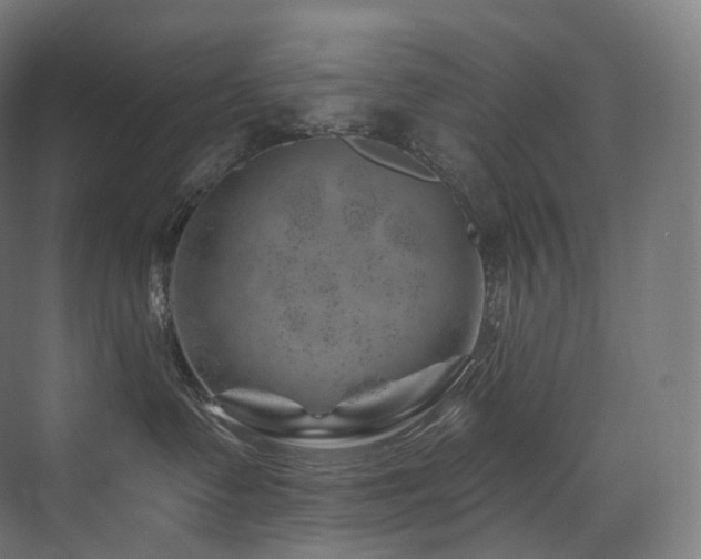 X0000074040335200608211525