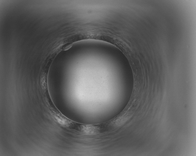 X0000074040336200608211525